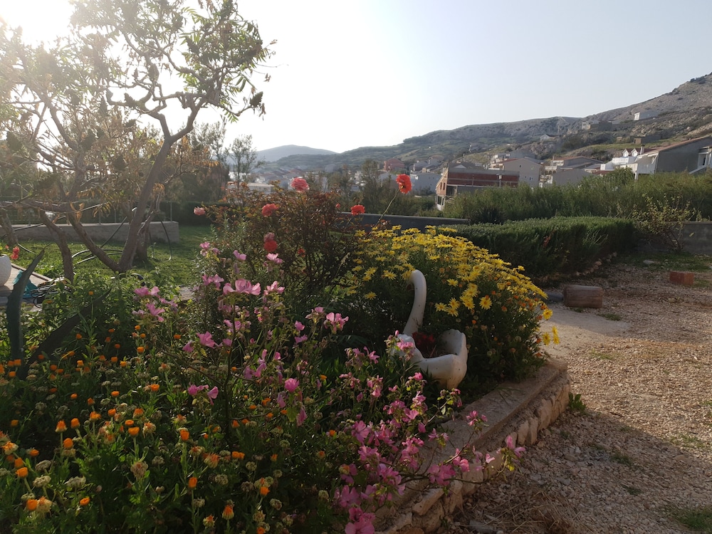 Photo 44
