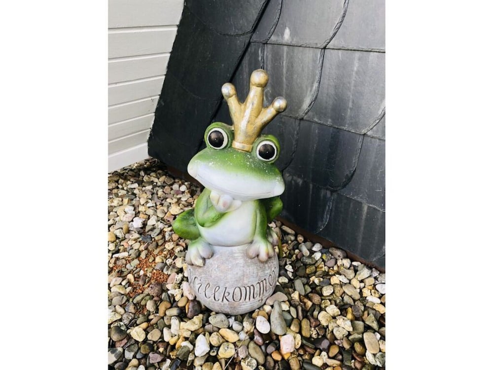 Frog Prince Modern Retreat