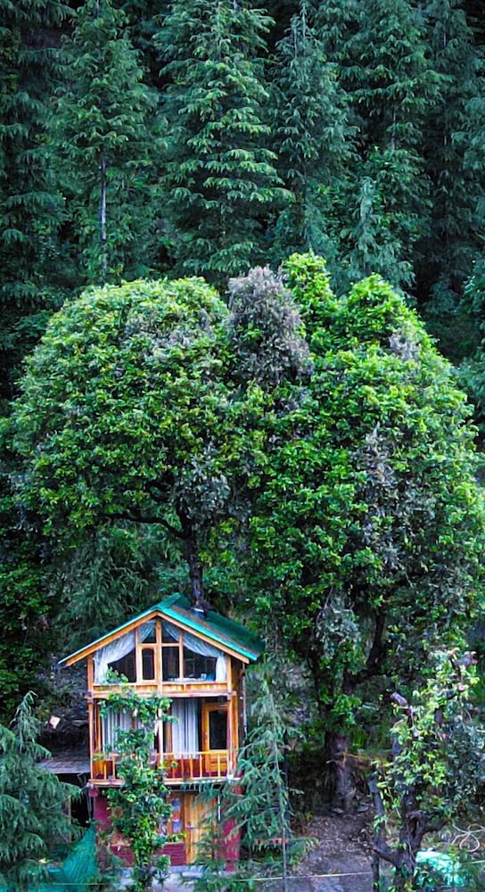 WOW Treehouse & Cottages