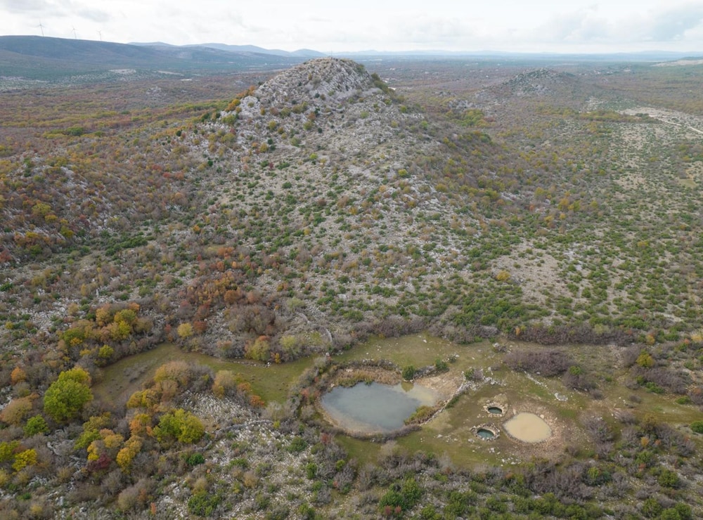 Vila Nira Radonić
