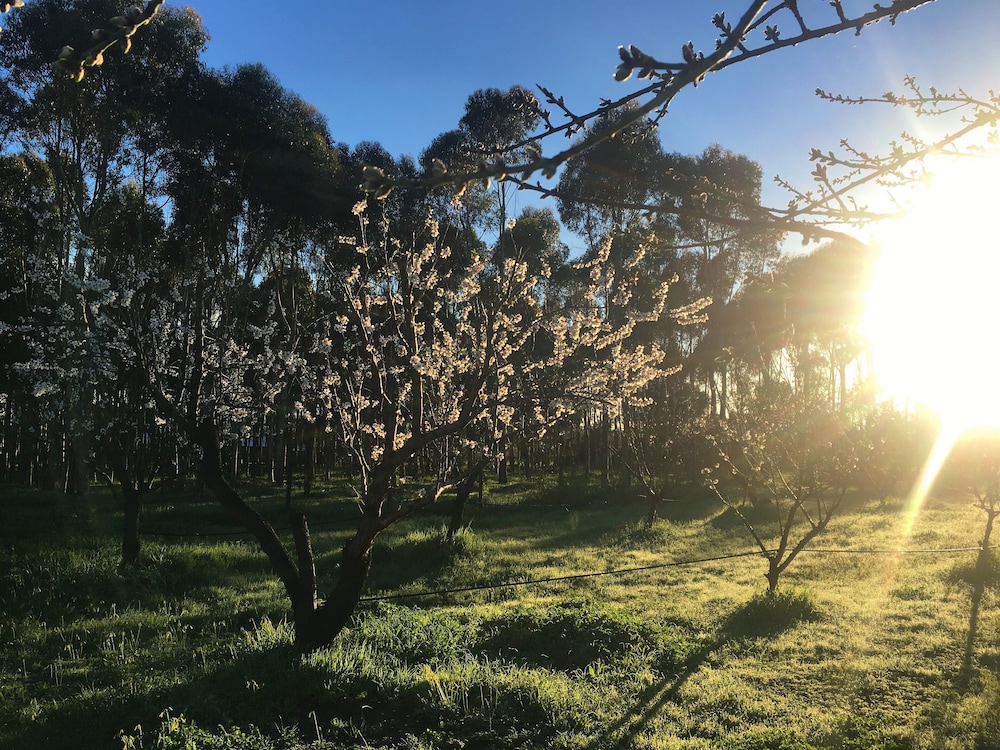 Old Chaff Mill Retreat - - luxury vineyard accommodation