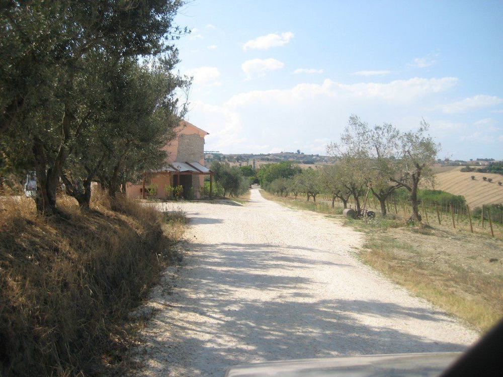 Photo 23
