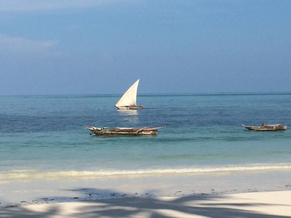 Simba Beach Zanzibar