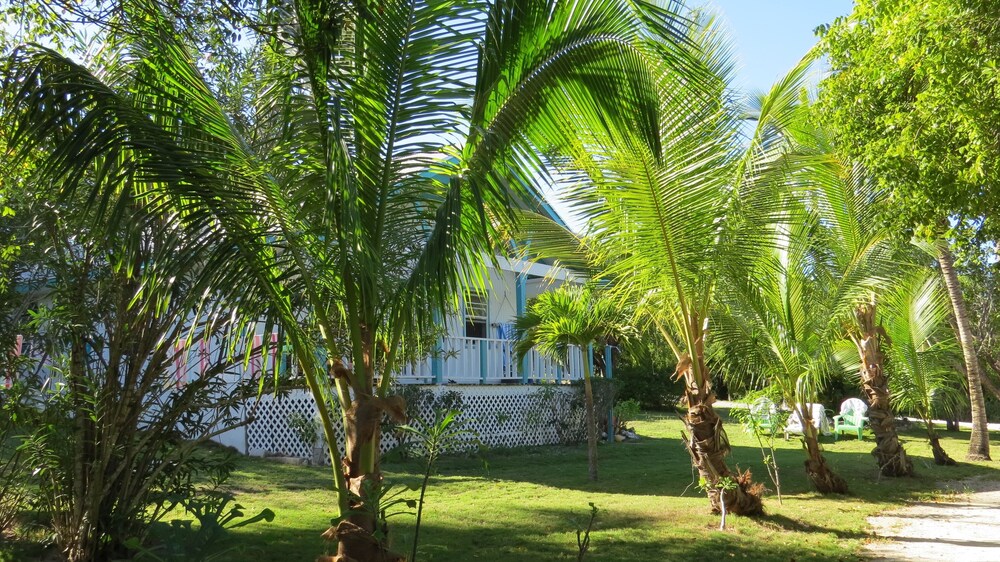Shangri-la  Orchid Cottage 4 Bedroom Home - Property Image 32