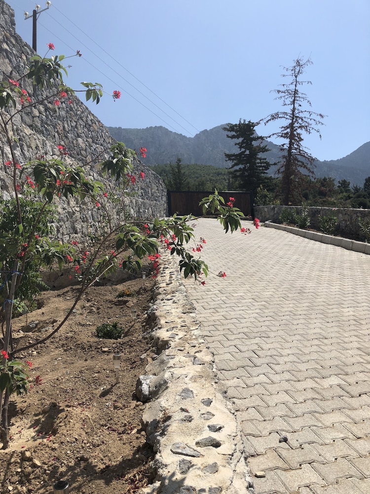 Ultra Lux Sea View Villa in Kyrenia view 5