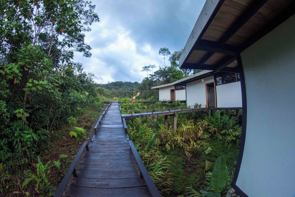 Cedro Amazon Lodge