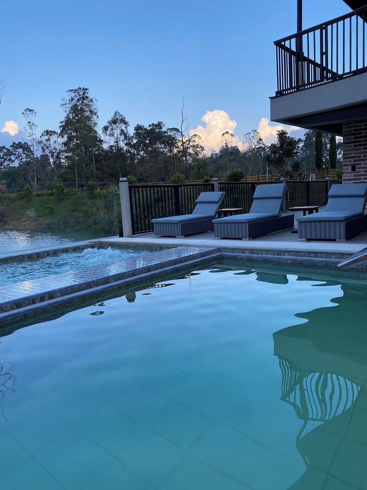 Monarch Campestre
