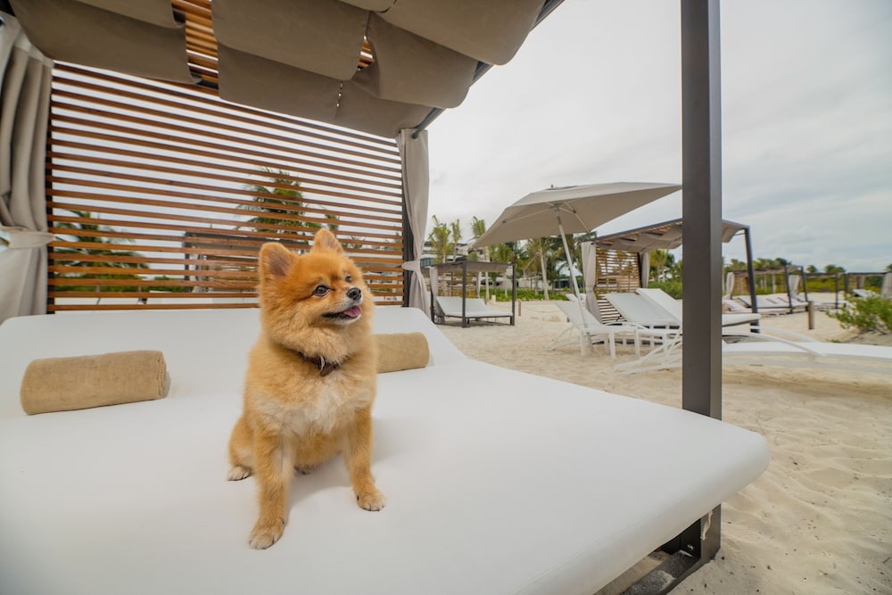 Atelier Playa Mujeres - Adults Only - All Inclusive 72