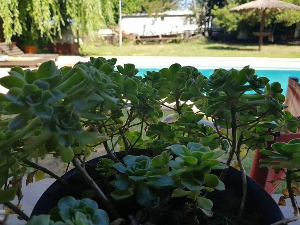 LAS MORAS multiespacio