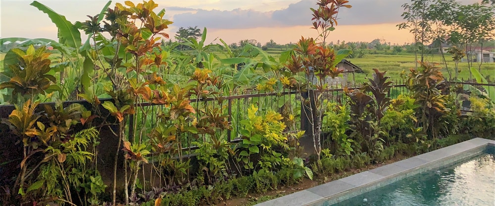 Devi's Place