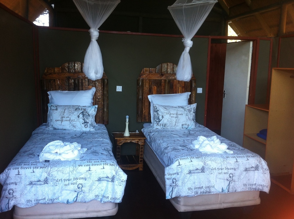 Lion Roars Lodge