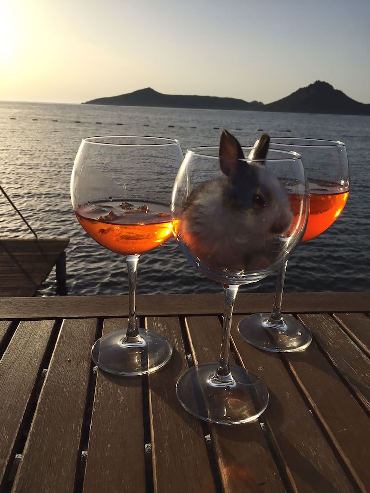 Art Suites Otel Bodrum - Image 12