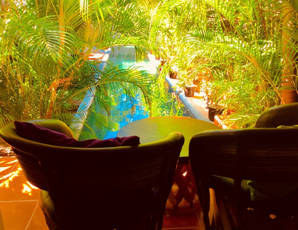 Photo 44