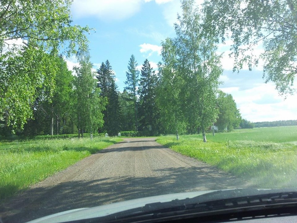 Photo 31