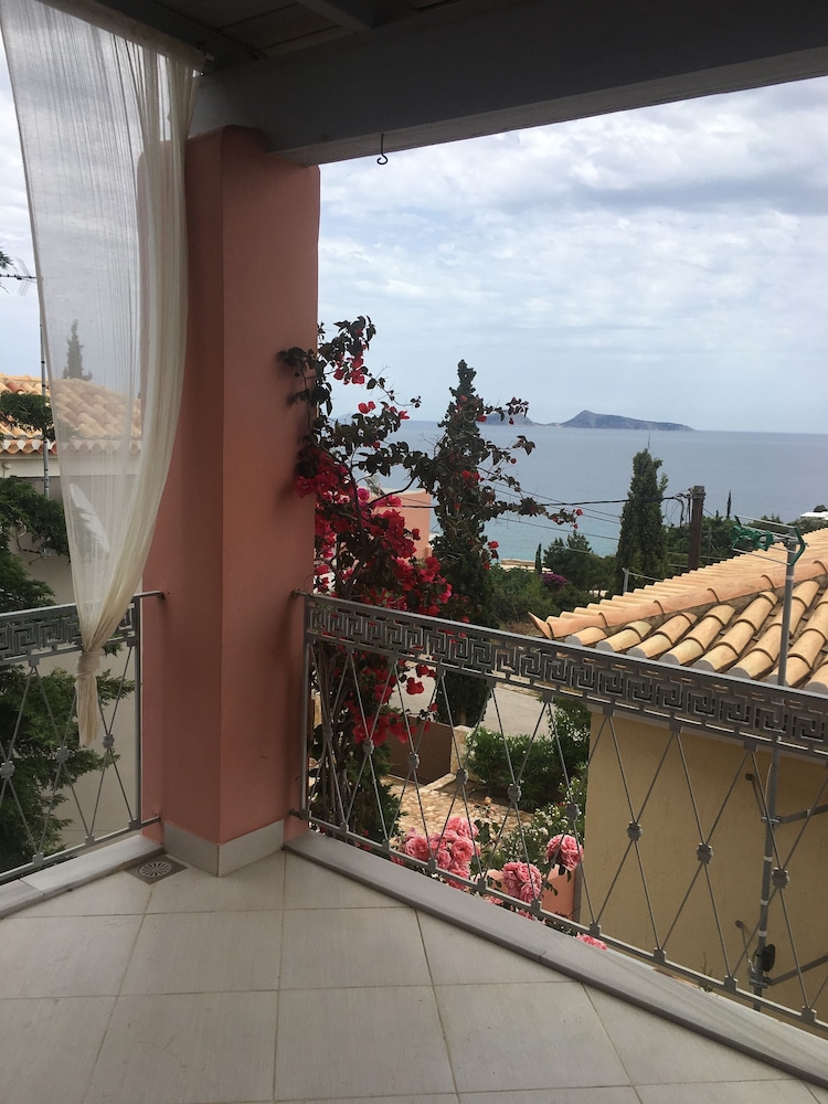 Flower House view 3