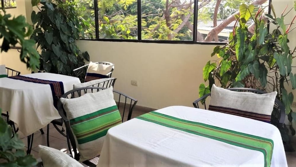 Árbol de Fuego Eco-hotel, a green experience in the city