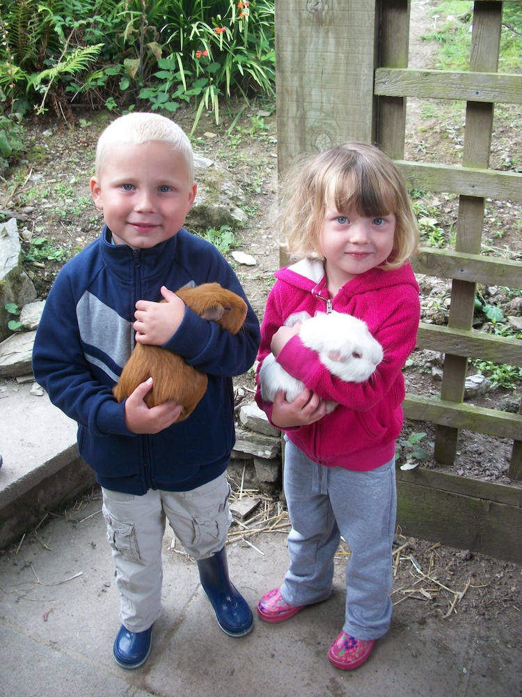 Looe Vacations - Polean Farm Cottages - Property Image 77