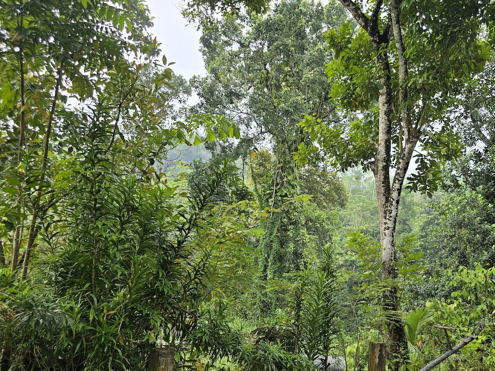Nildiya Cottages