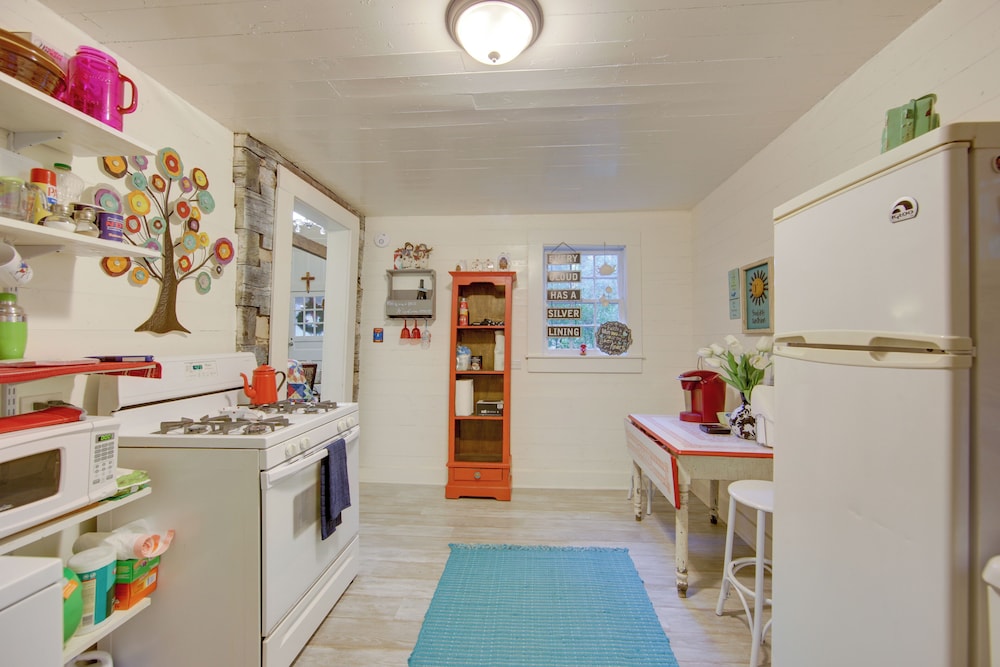 Marshall Vacations - Historic Marshall Log Cabin < 1 Mi to Dtwn! - Property Image 3