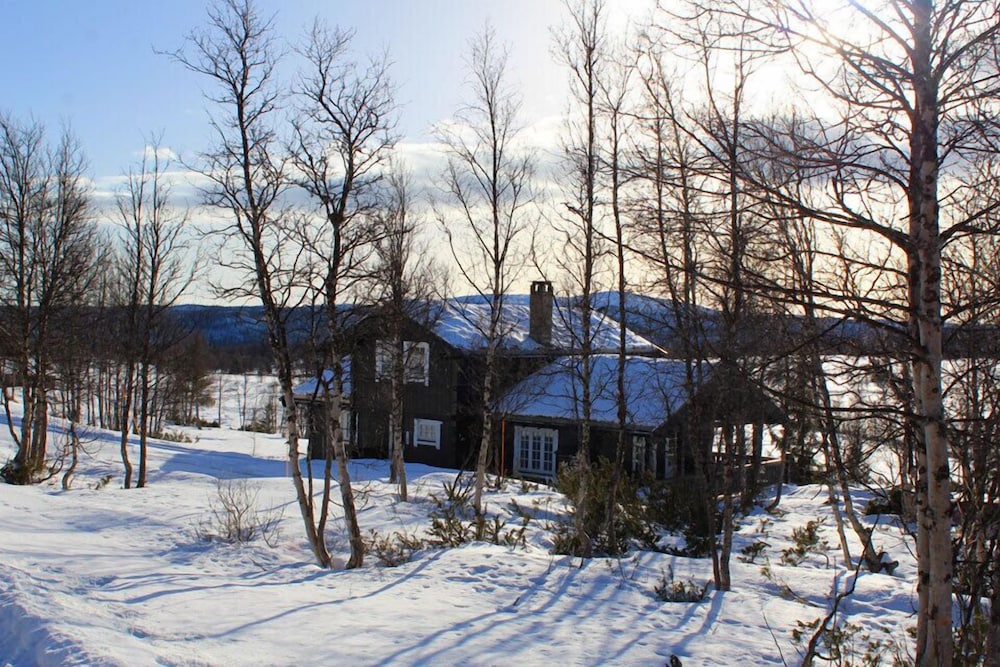 Kvitebjørn Cabin - Ål