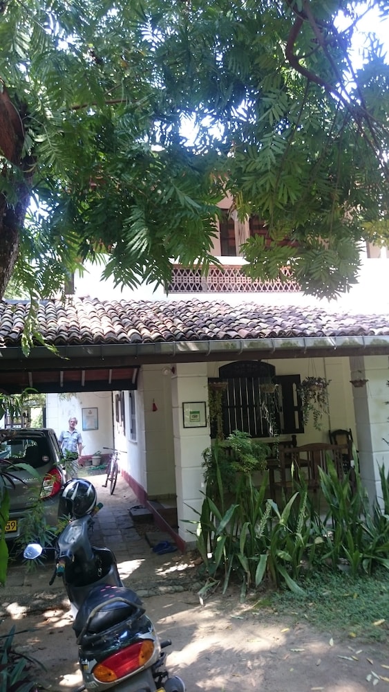 Photo 44