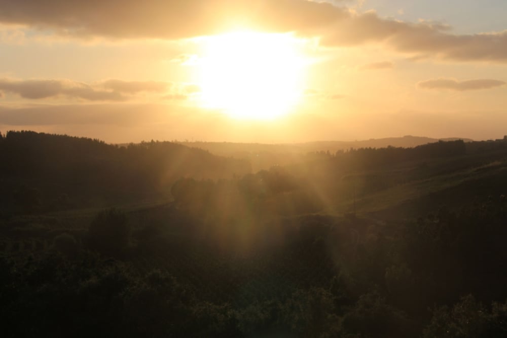 Terra Luso
