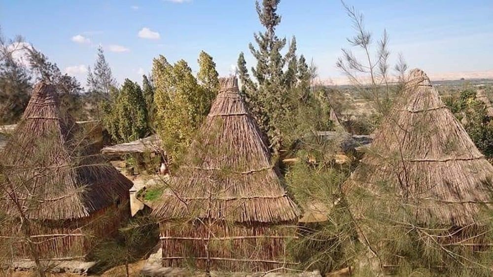 Badry Sahara Camp