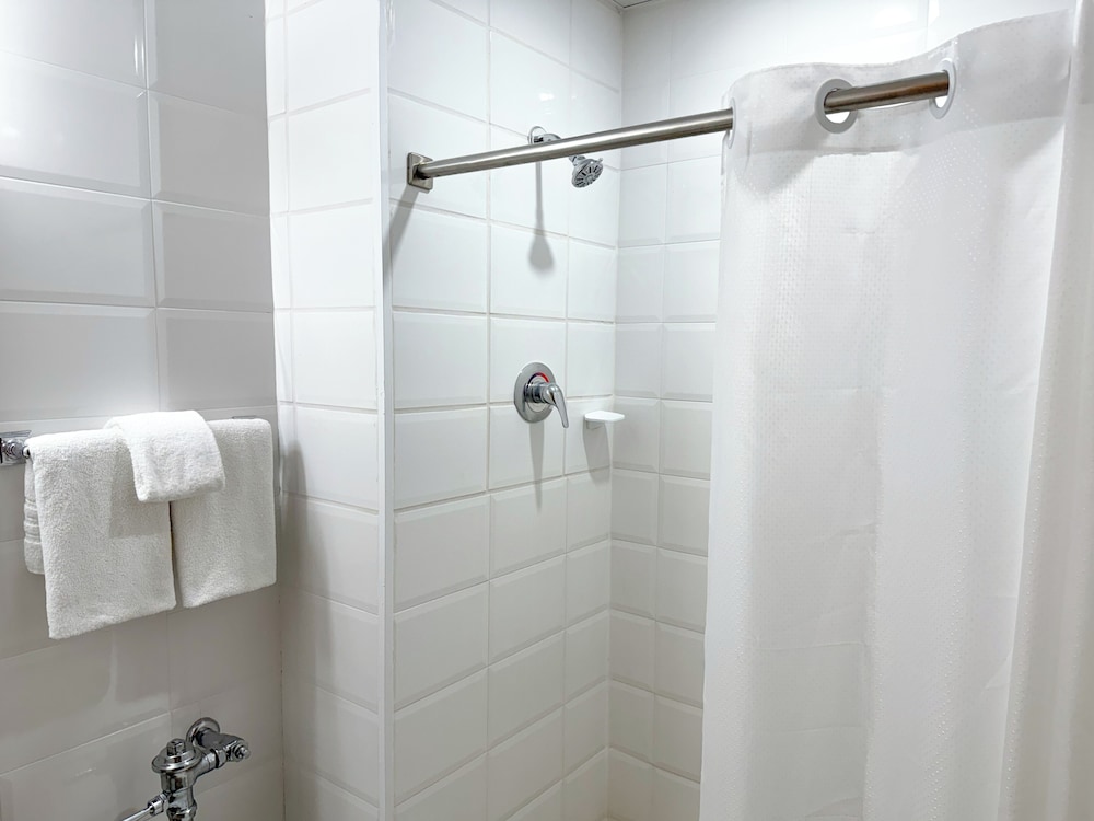Ficus Hotel - Property Image 14