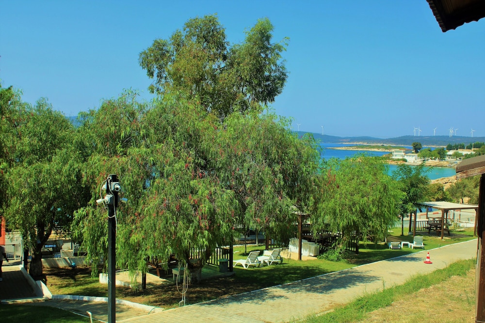 Photo 11