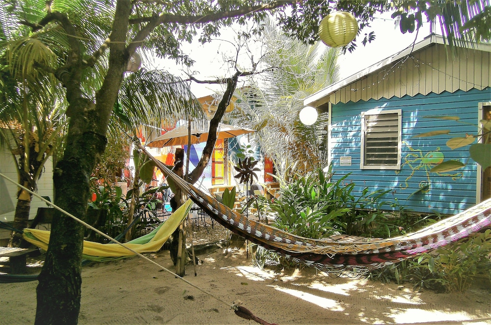 The Funky Dodo Backpackers