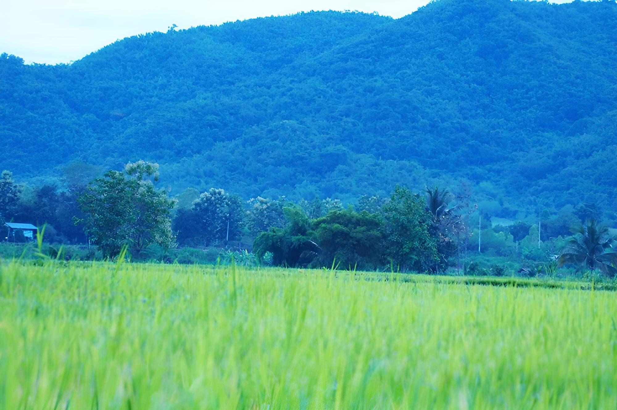 Le Kuna Farm Stay