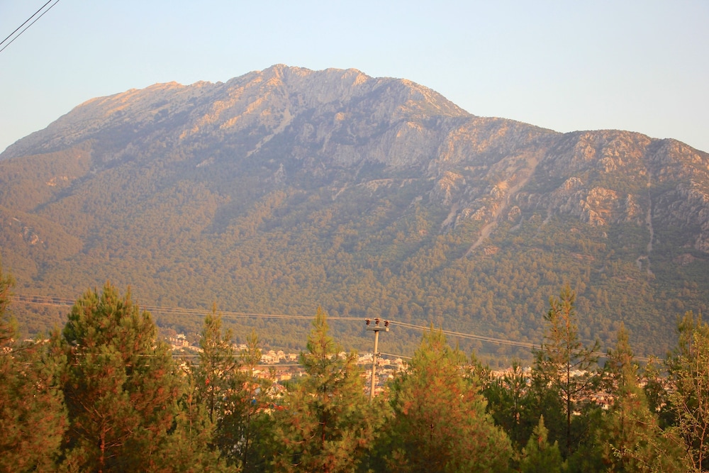 Yakamoz Otel - Image 13