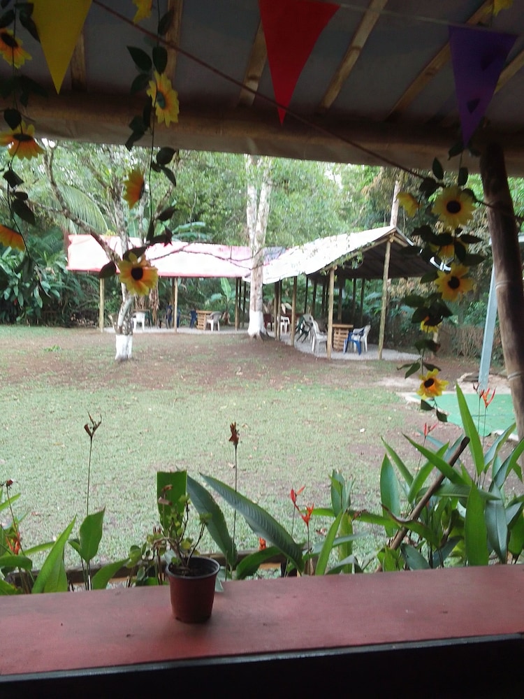 waterfall hostel