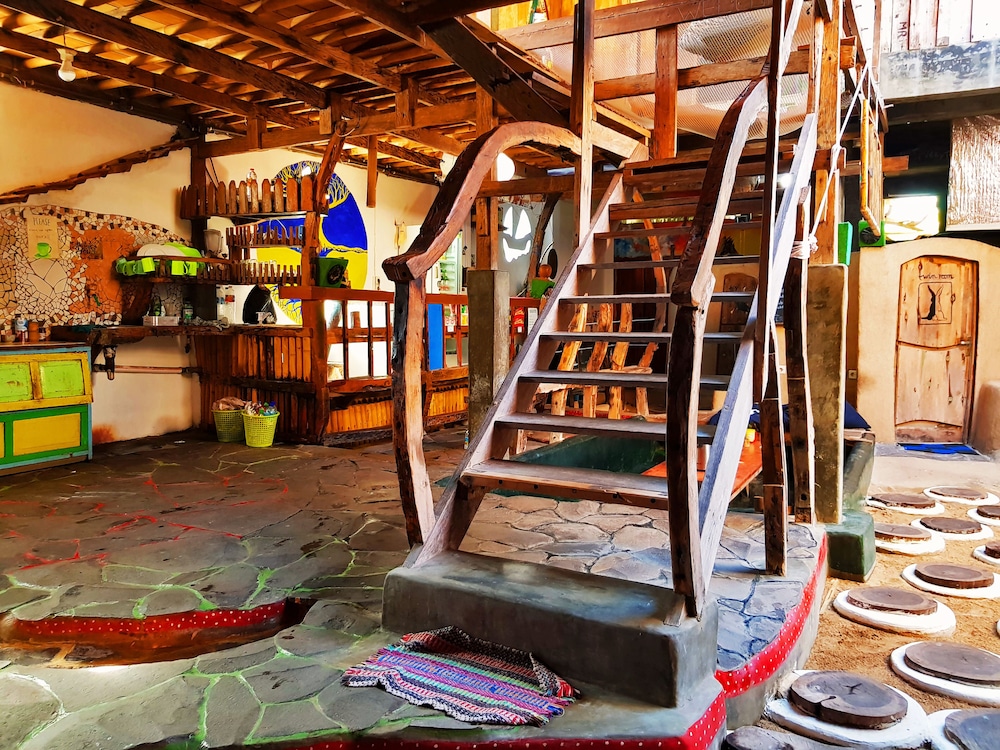 The Rabbit Tree - Hostel