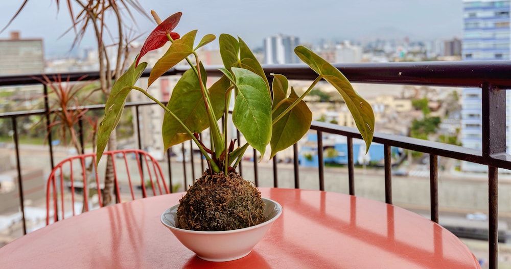 ALU Apartments - Miraflores Park