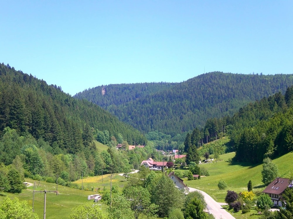 Hideaway Near Black Forest view 5
