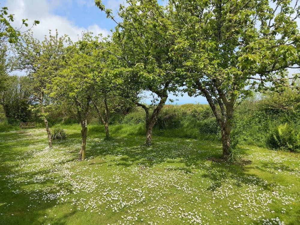 The Stables in Crackington Haven