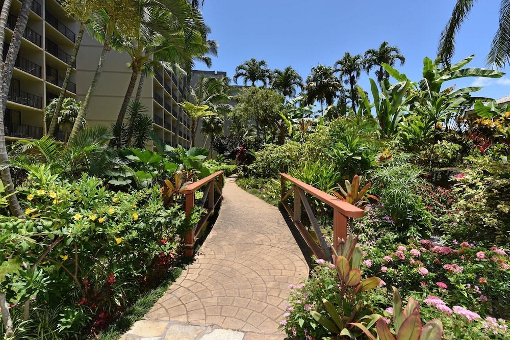 Ka'anapali Shores 160