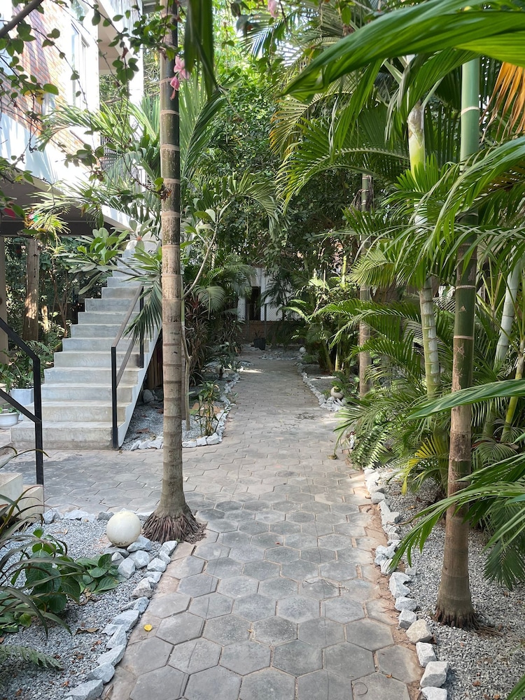 Treetop Bungalows view 2