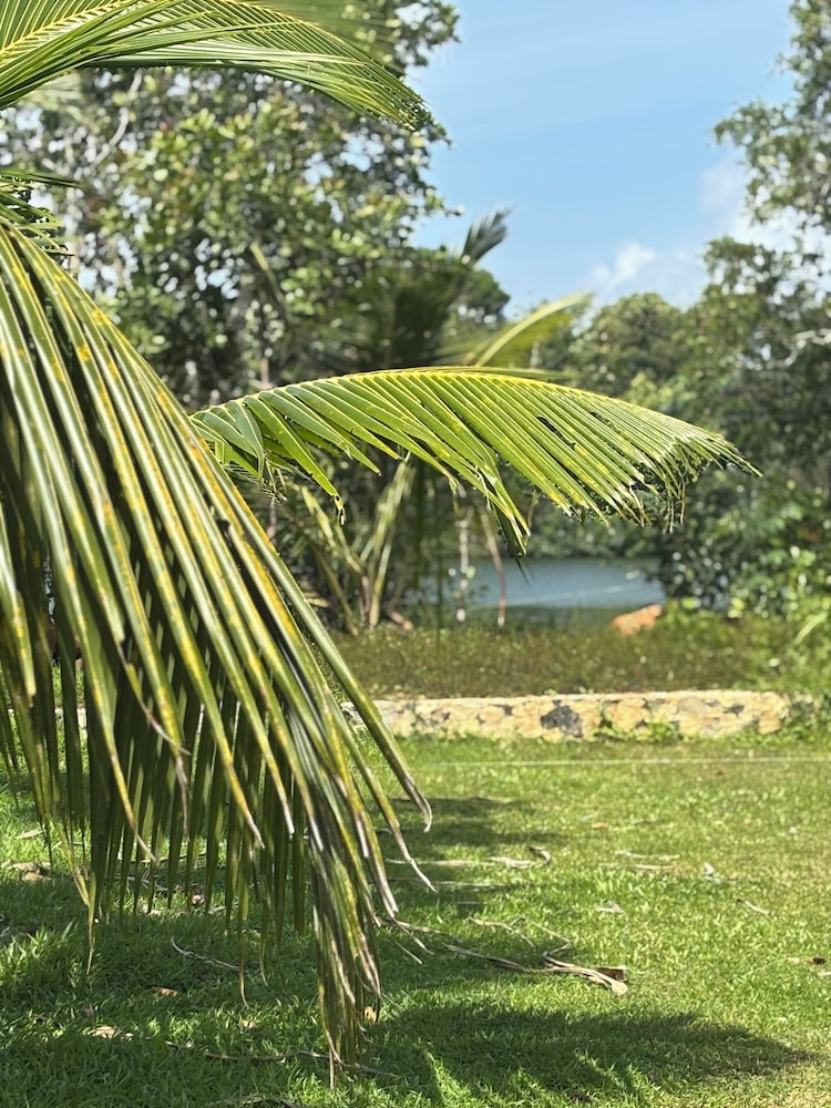 Jungle Breeze