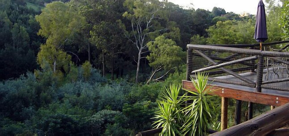 Coral Tree Inn