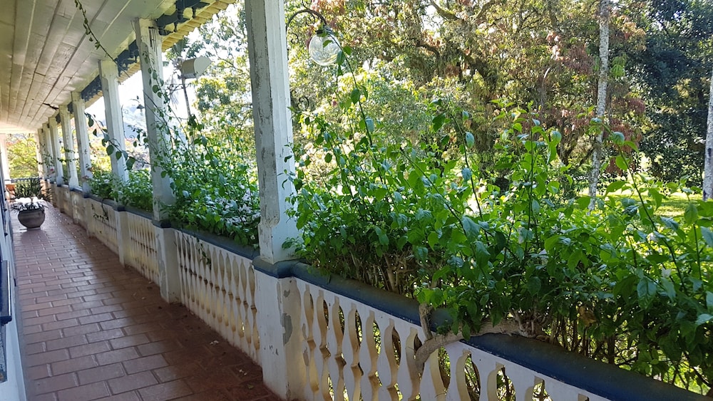 Fazenda São Fernando