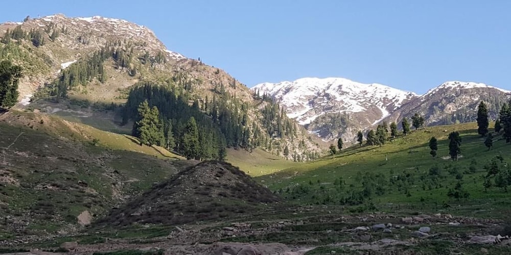 Pine Top Resort Batakundi