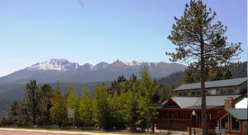 Photo 41