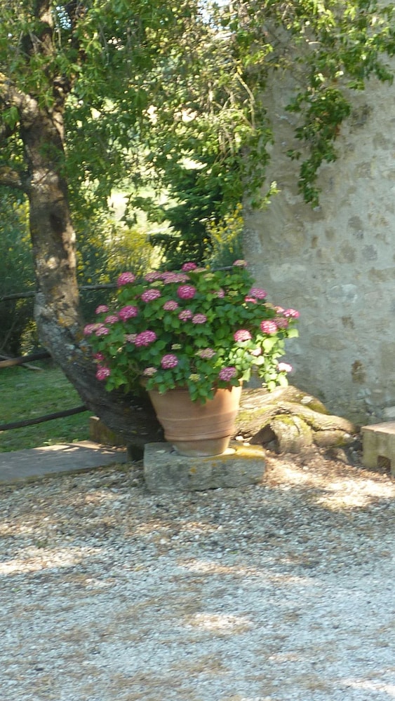 Bellavista farm of Quercini Maurizio