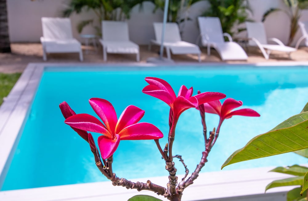 Le Mandala Moris B&B Guesthouse