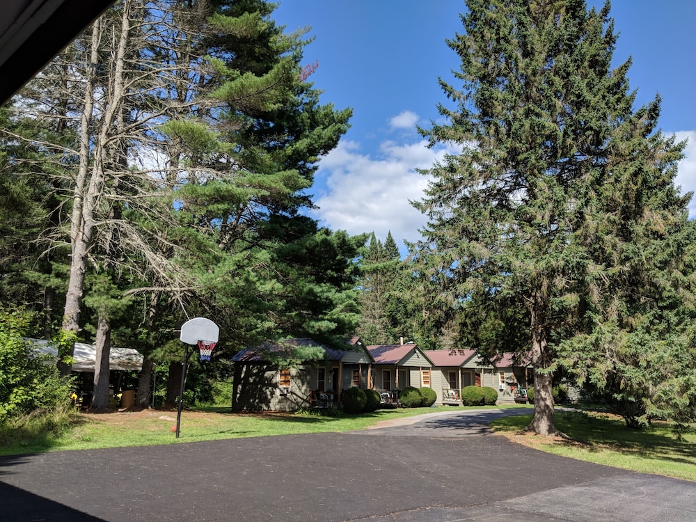 Pine Tree Motel & Cabins
