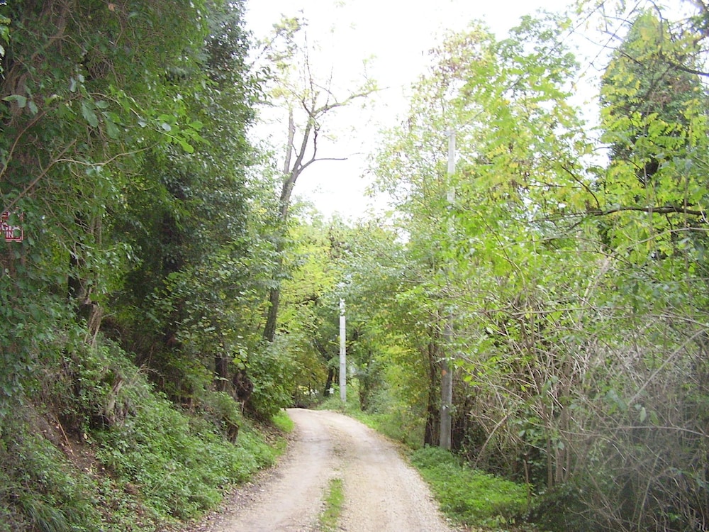 Photo 32