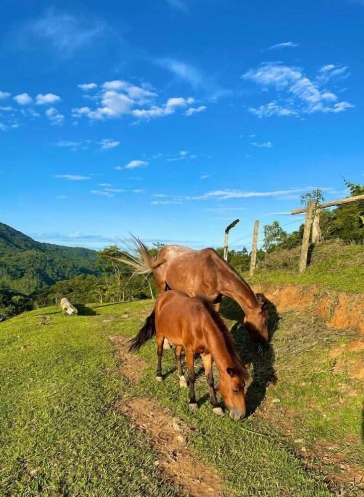 Recanto Fogo na Taça
