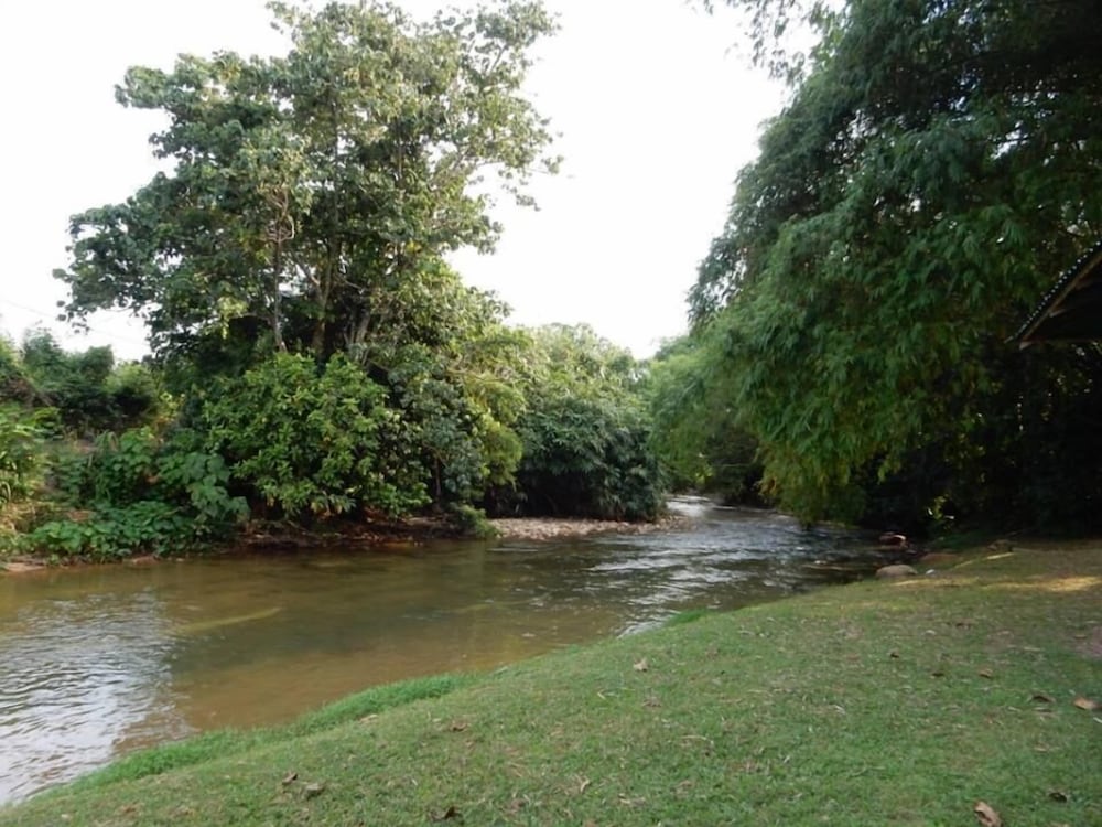 The Roots Eco Resort